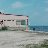 Appena arrivati in sala c�era l�usanza per i neosposi di farsi fotografare prima con l�immagine del gabbiano sullo sfondo e solo dopo sul mare con amici e parenti: era una sorta di portafortuna